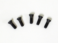 Screw of turning tools M3 T10